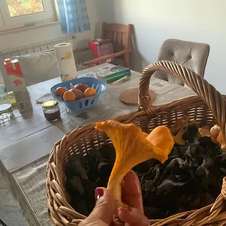 Majmajola Casa vacanze Vodnjan
